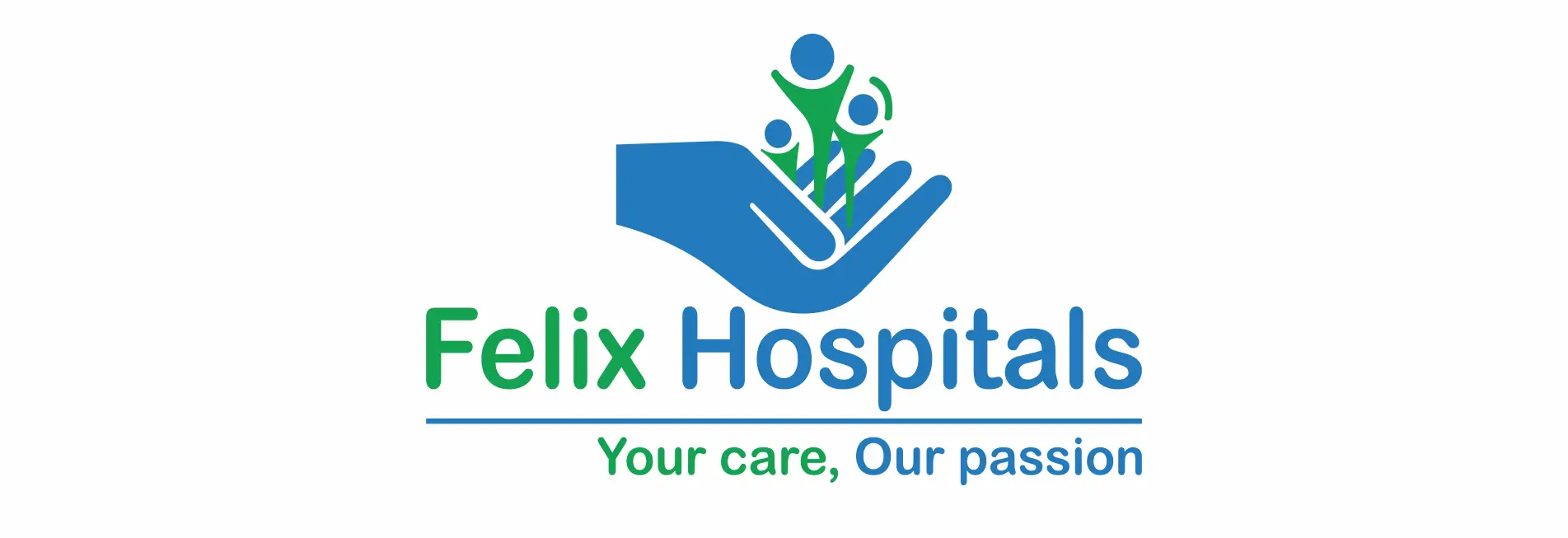 Flex Hospital logo